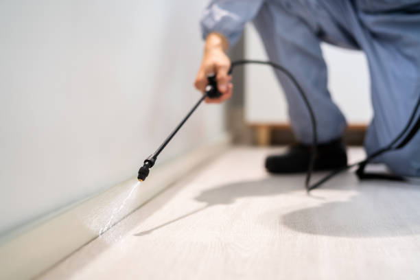 Licensed Cockroach Control service in Lewiston, UT - Nex Pest Control