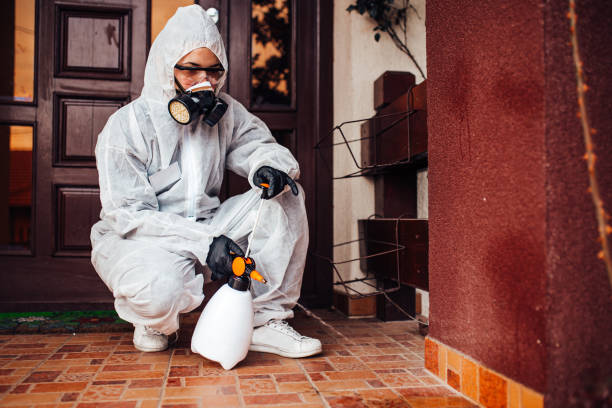 Reliable Cockroach Control contractor in Lewiston, UT by Nex Pest Control